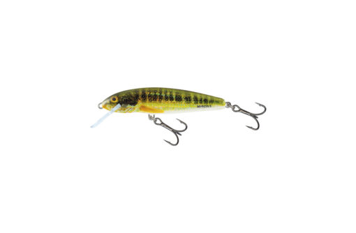 Salmo Minnow 6CM - Image 22