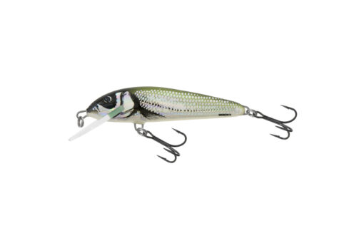 Salmo Minnow 6CM - Image 24